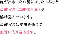 泡が出きったお湯には、たっぷりと炭酸ガス（二酸化炭素）が溶け込んでいます。炭酸ガスは皮膚を通じて血管に入り込みます。